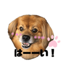日常ナナちゃんと家族（個別スタンプ：2）