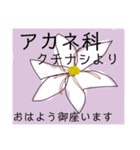 花の名を（個別スタンプ：1）