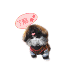 ペキニーズ隊⑥（個別スタンプ：9）