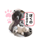 毎日のえるさん（個別スタンプ：3）