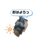 毎日のえるさん（個別スタンプ：5）