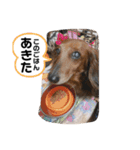 愛するチョコ 2（個別スタンプ：1）