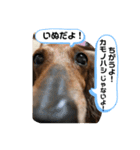 愛するチョコ 2（個別スタンプ：4）