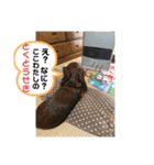 愛するチョコ 2（個別スタンプ：7）
