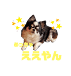 PANDAᵃⁿᵈKOALA2（個別スタンプ：6）