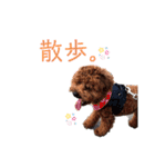 はじめスタンプー（個別スタンプ：1）