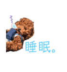 はじめスタンプー（個別スタンプ：5）