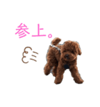 はじめスタンプー（個別スタンプ：6）
