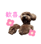 はじめスタンプー（個別スタンプ：8）