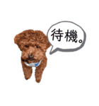 はじめスタンプー（個別スタンプ：10）