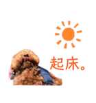 はじめスタンプー（個別スタンプ：11）