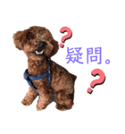 はじめスタンプー（個別スタンプ：13）