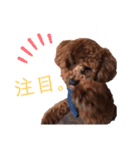 はじめスタンプー（個別スタンプ：14）