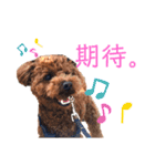 はじめスタンプー（個別スタンプ：15）