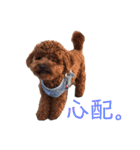 はじめスタンプー（個別スタンプ：17）