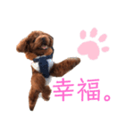 はじめスタンプー（個別スタンプ：19）