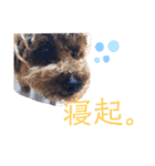 はじめスタンプー（個別スタンプ：20）