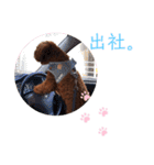 はじめスタンプー（個別スタンプ：21）