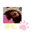 はじめスタンプー（個別スタンプ：22）