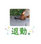はじめスタンプー（個別スタンプ：23）
