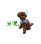 はじめスタンプー（個別スタンプ：25）