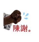 はじめスタンプー（個別スタンプ：27）