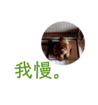 はじめスタンプー（個別スタンプ：28）