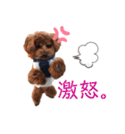 はじめスタンプー（個別スタンプ：30）