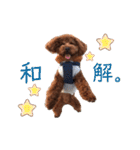 はじめスタンプー（個別スタンプ：32）