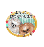 【動く！】額ぶちアート（個別スタンプ：14）