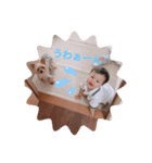 りあんくんの1日（個別スタンプ：1）