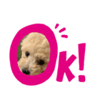 チャイです！（個別スタンプ：4）