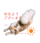 しずくの基本スタイル2（個別スタンプ：7）