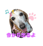 かわいいまりん（個別スタンプ：4）
