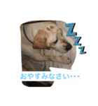 みっちゃんさくら（個別スタンプ：2）