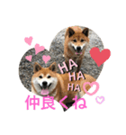 みっちゃんさくら（個別スタンプ：5）