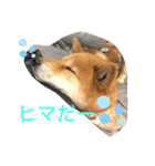 みっちゃんさくら（個別スタンプ：7）