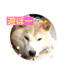 みっちゃんさくら（個別スタンプ：8）