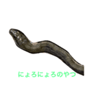 第一弾やつ（個別スタンプ：3）