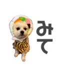 便's Family（個別スタンプ：22）