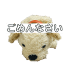 千代子(チョコ)（個別スタンプ：2）
