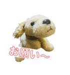 千代子(チョコ)（個別スタンプ：4）