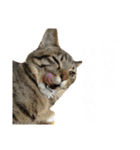関西弁Nicoさん②（個別スタンプ：8）