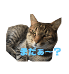 関西弁Nicoさん②（個別スタンプ：12）