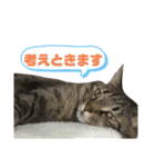 関西弁Nicoさん②（個別スタンプ：13）