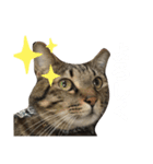 関西弁Nicoさん②（個別スタンプ：17）