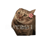 関西弁Nicoさん②（個別スタンプ：18）