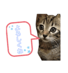 関西弁Nicoさん②（個別スタンプ：21）