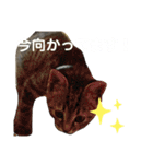 関西弁Nicoさん②（個別スタンプ：22）