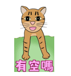 Tabby Milktea Cat III（個別スタンプ：4）